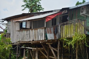 Trans Borneo Expedition 2014      